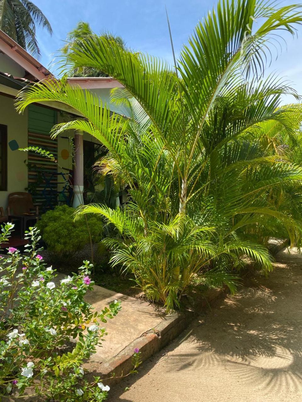 Elena Garden Resort And Restaurant Trincomalee Eksteriør billede
