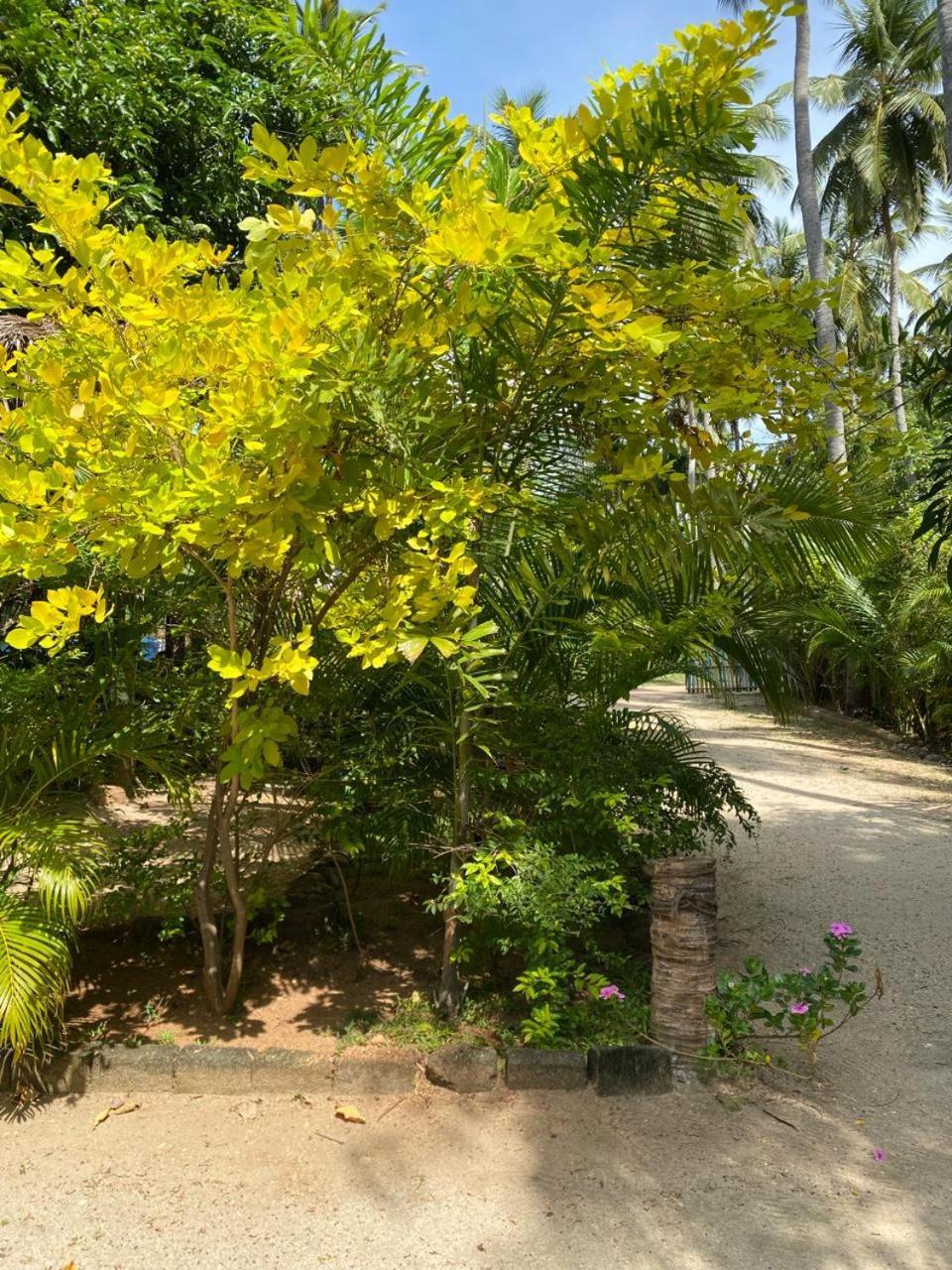 Elena Garden Resort And Restaurant Trincomalee Eksteriør billede
